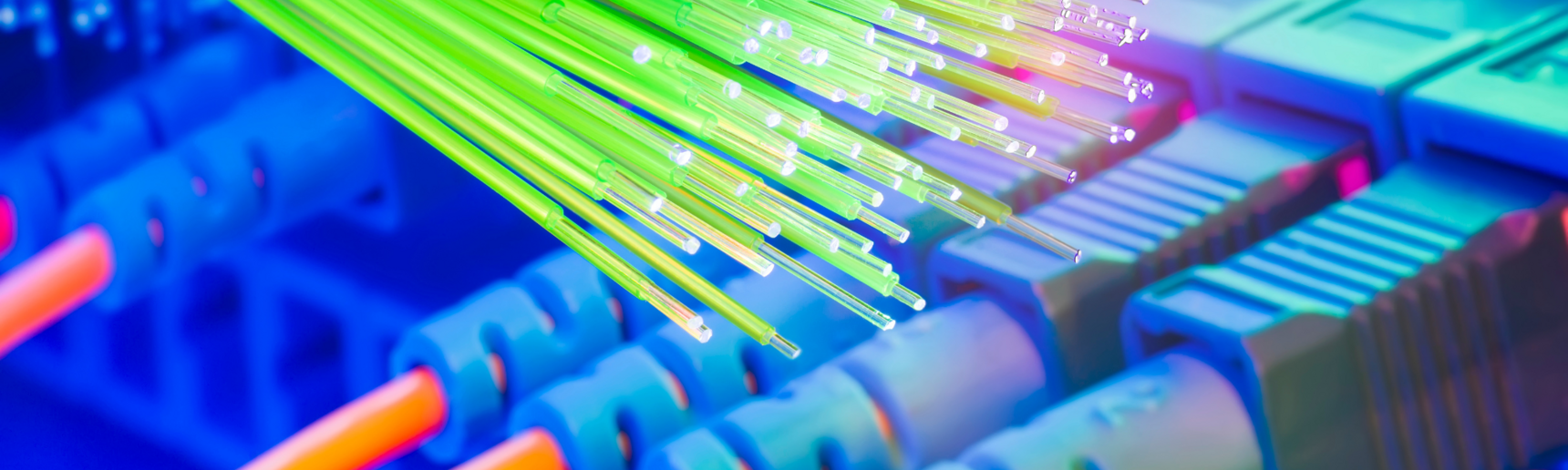 Nahaufnahme von leuchtend gelben Glasfaserkabeln. Im Hintergrund sind Stecker eines Serverschrankes zu sehen.