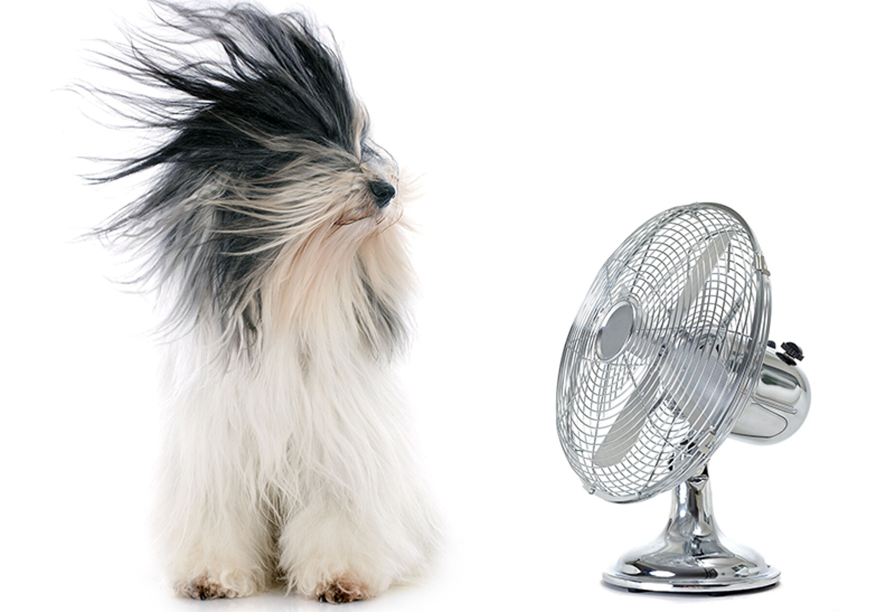 Geräte für die Raumkühlung im Vergleich