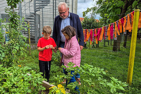 Der Geschäftsführer der Stadtwerke Sindelfingen steht mit zwei Kindern des Kinderschutzbunds am Beet mit gepflanzten Tomaten
