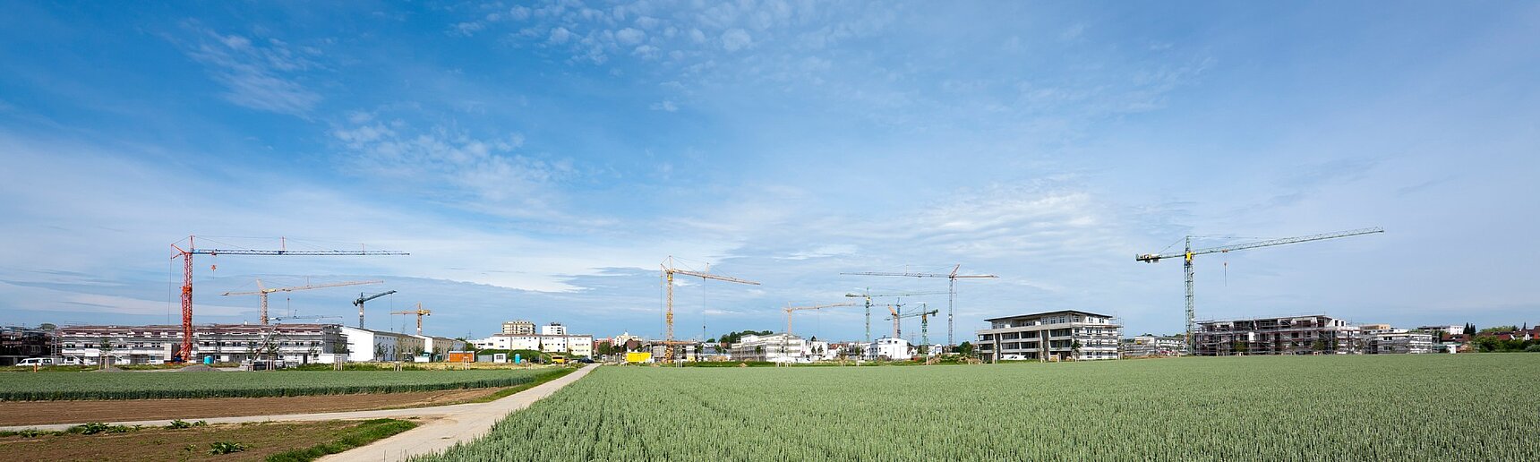 Baustelle eines Wohngebietes am Stadtrand, Sonnenschein, blauer Himmel. Ein Weizenfeld im Vordergrund. Richtung Horizont werden viele Mehrfamilienhäuser errichtet, drumherum stehen viele Baukräne.