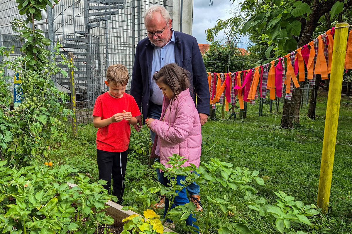 Der Geschäftsführer der Stadtwerke Sindelfingen steht mit zwei Kindern des Kinderschutzbunds am Beet mit gepflanzten Tomaten