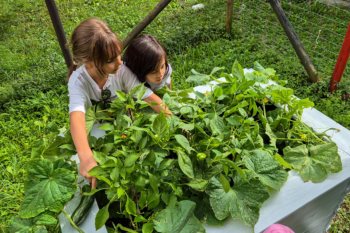 Zwei Kinder des Kinderschutzbunds schauen nach den gepflanzten Paprika im Hochbeet