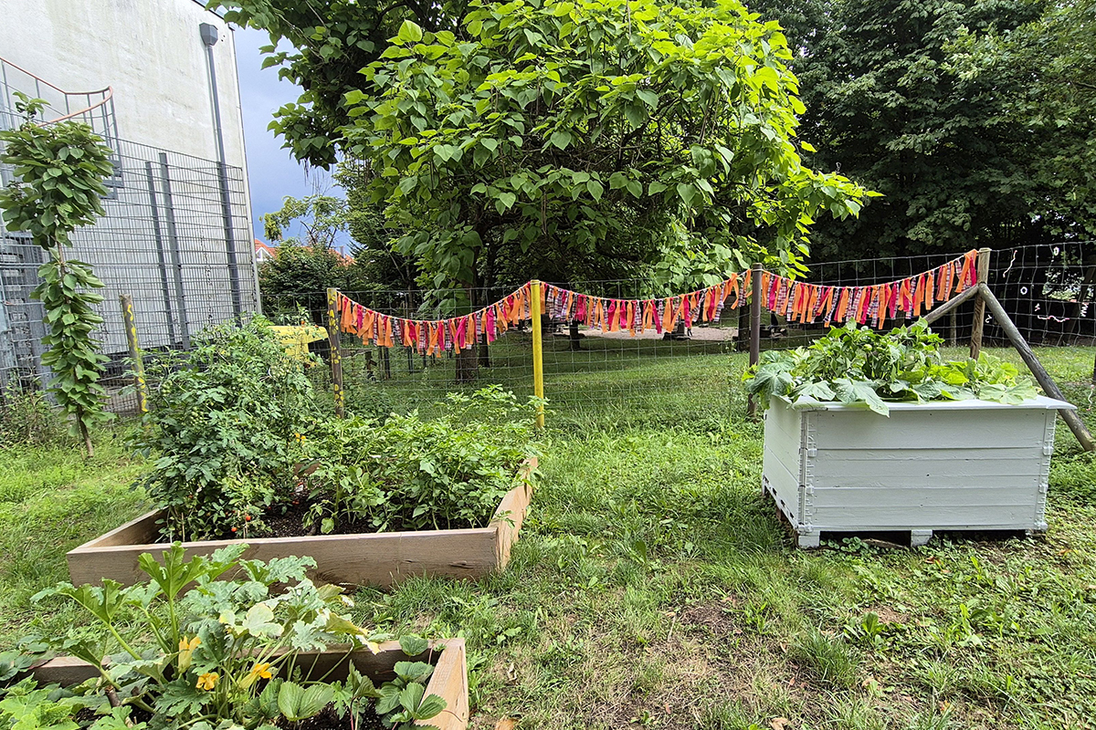 Zu sehen sind die Pflanzen und Hochbeete auf dem Gartengrundstück des Kinderschutzbunds